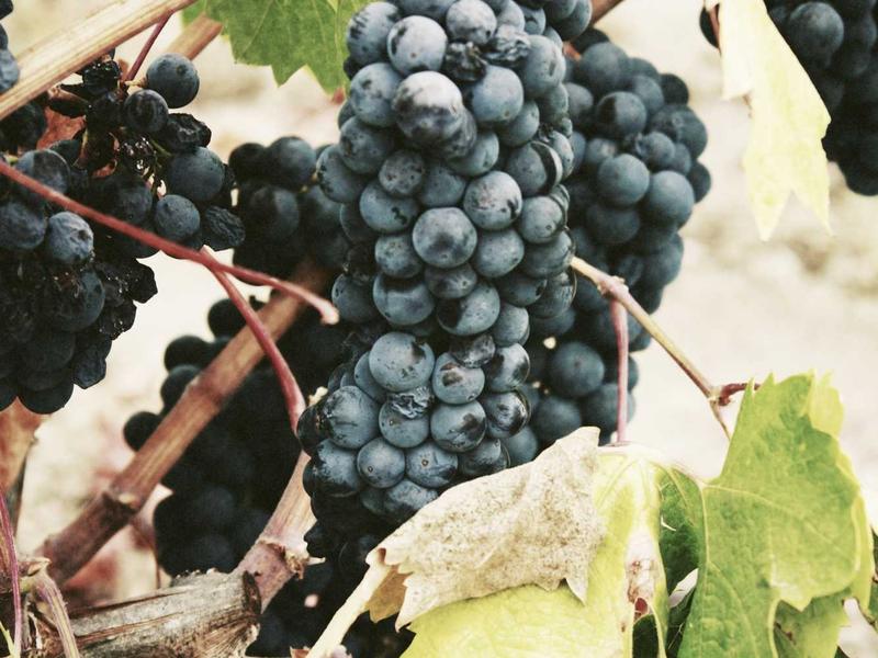 全分区账号创建<br>港服美服日服欧服分区注册方法